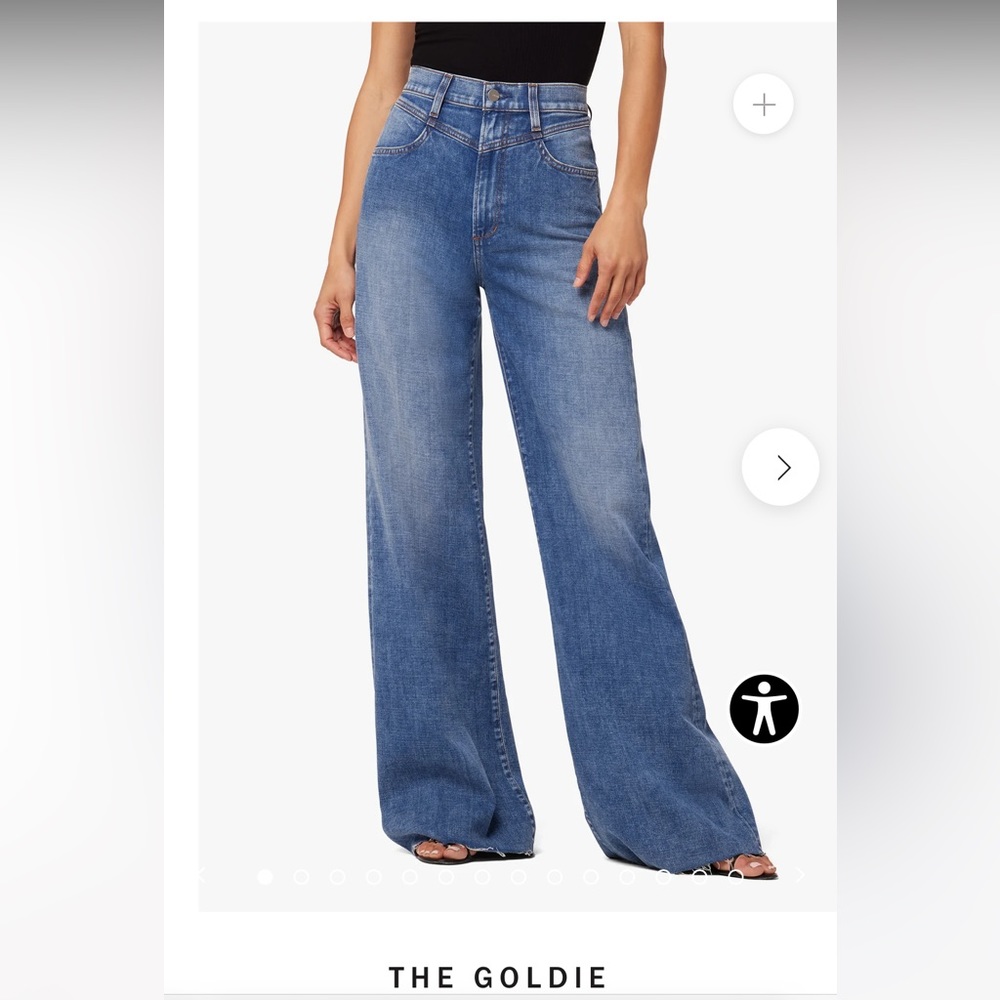 NWT Joe’s Jeans Goldie Palazzo Pants
